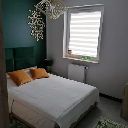 Kubiks Sady * מאלבורק